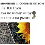 Шрот подсолнечный и соевый оптом от производителя ГК Юг Руси