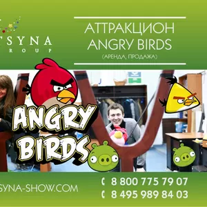 Аттракцион Angry Birds в Ростове-на-Дону