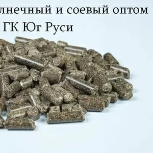 Шрот подсолнечный и соевый оптом - ГК Юг Руси